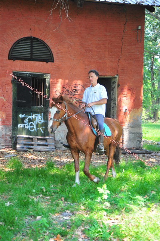 DSC_1002.JPG